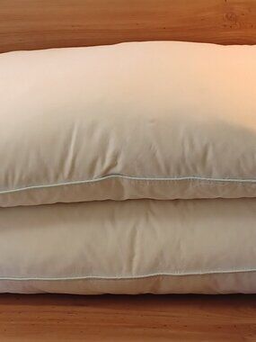 IHG  The Pillows Inside Are 90% Duck Feathers And They Are King Size Soft